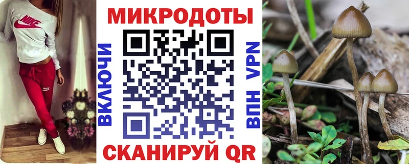 купить наркотики сайты  Партизанск  Псилоцибиновые грибы Cubensis 